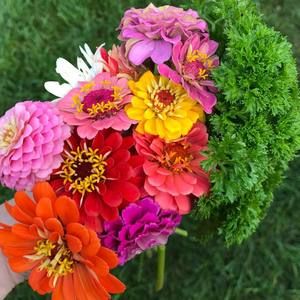 Meet your Posher, Erin